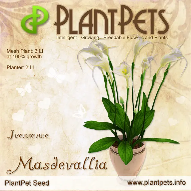 Poster for Masdevallia *Ivessence*