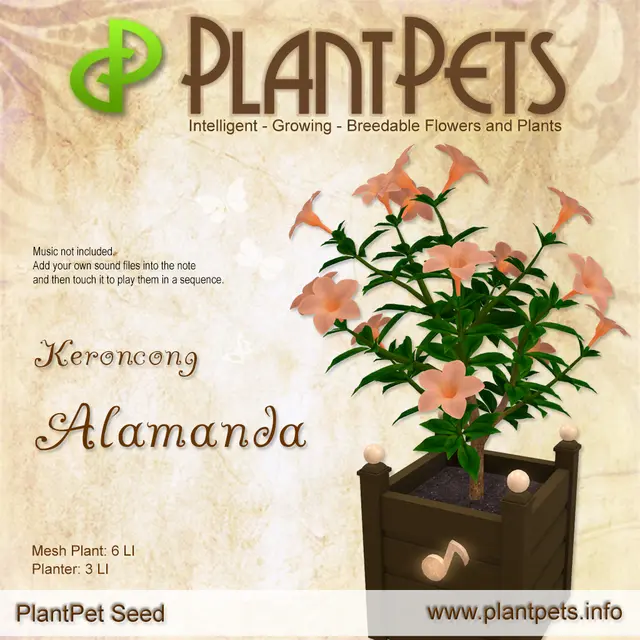 Poster for Alamanda *Keroncong*