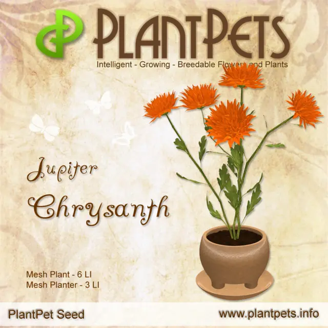 Poster for Chrysanth *Jupiter*