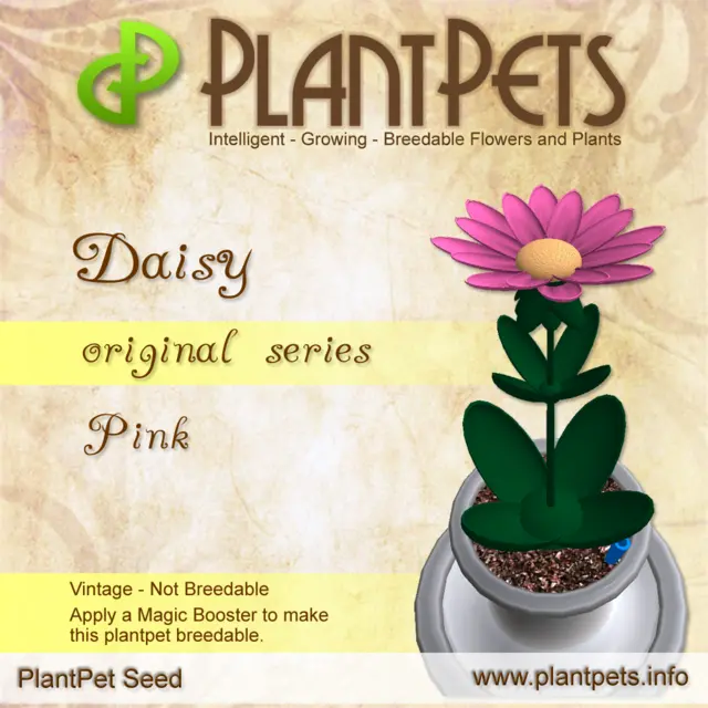 Poster for Daisy *Original Pink*