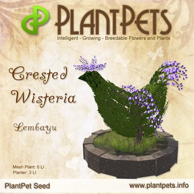 Poster for Crested Wisteria *Lembayu*