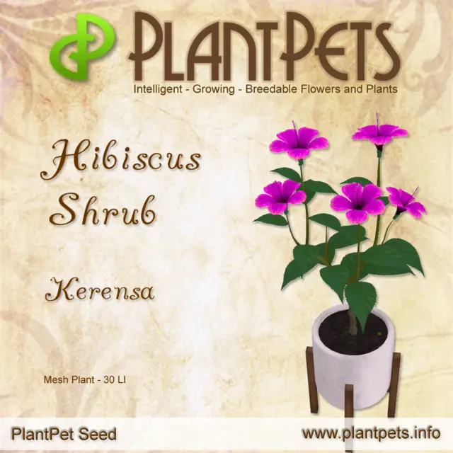Poster for Hibiscus Shrub *Kerensa*