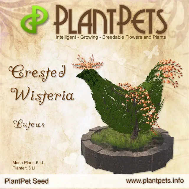 Poster for Crested Wisteria *Luteus*