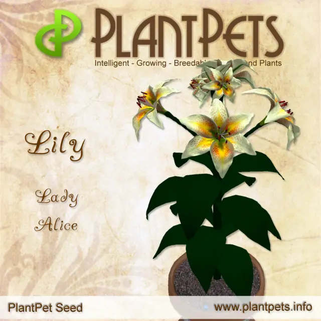 Poster for Lily *Lady Alice*