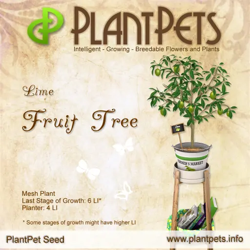 Poster for Fruit Tree *Lime*