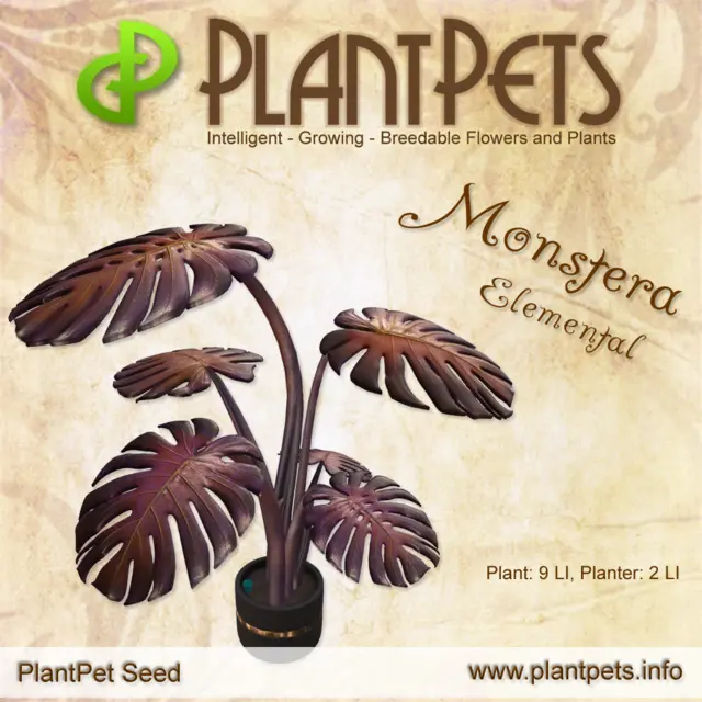 Poster for Monstera *Elemental*