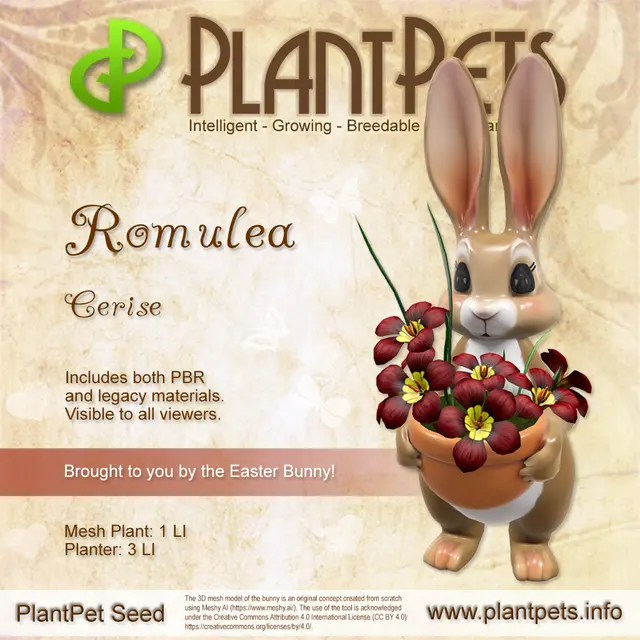 Poster for Romulea *Cerise*