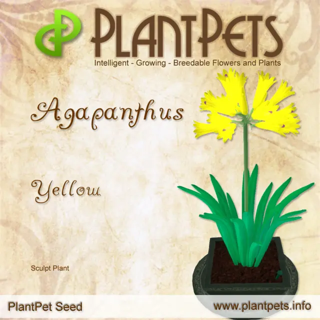 Poster for Agapanthus *Yellow*