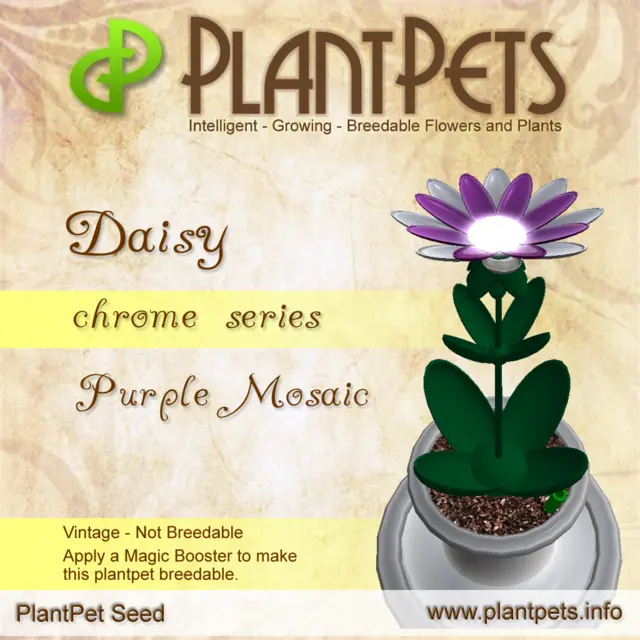 Poster for Daisy *Chrome Purple Mosaic*