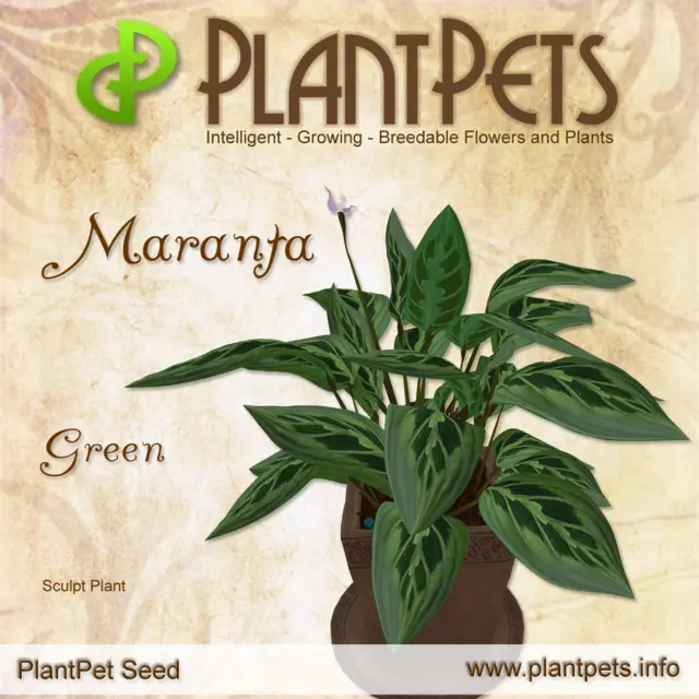 Poster for Maranta *Green*