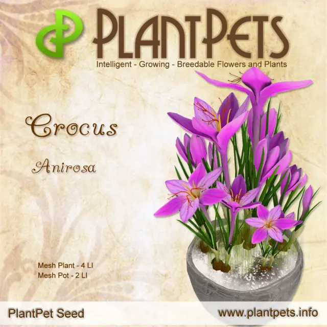 Poster for Crocus *Anirosa*