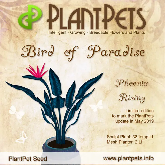Poster for Bird of Paradise *Phoenix Rising*
