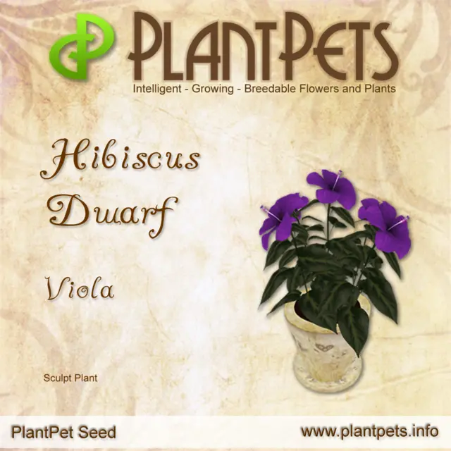 Poster for Hibiscus Dwarf *Viola*