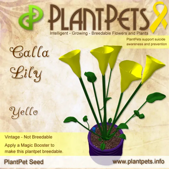 Poster for Calla Lily *Yello*