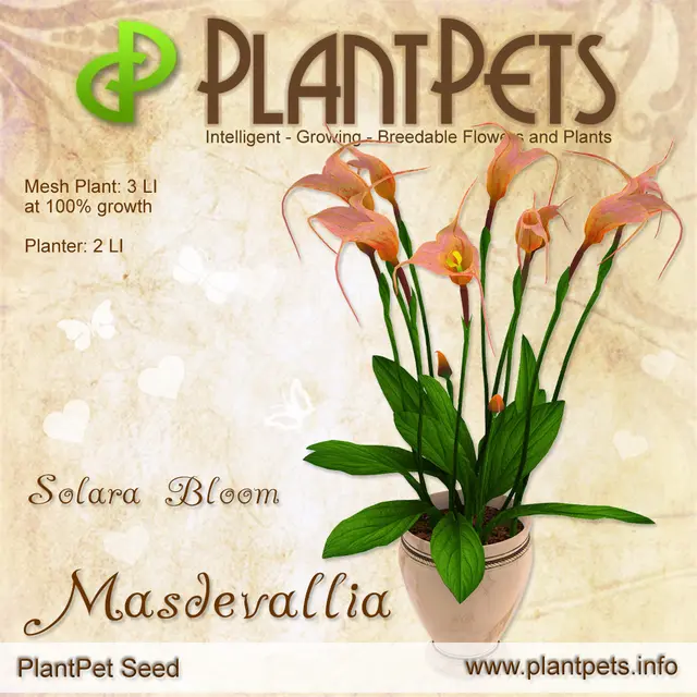 Poster for Masdevallia *Solara Bloom*