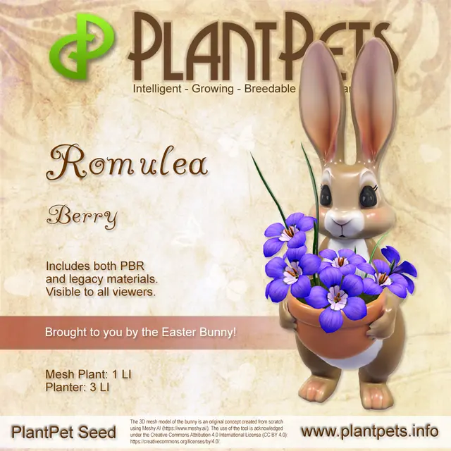Poster for Romulea *Berry*