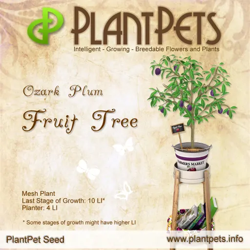 Poster for Fruit Tree *Ozark Plum*