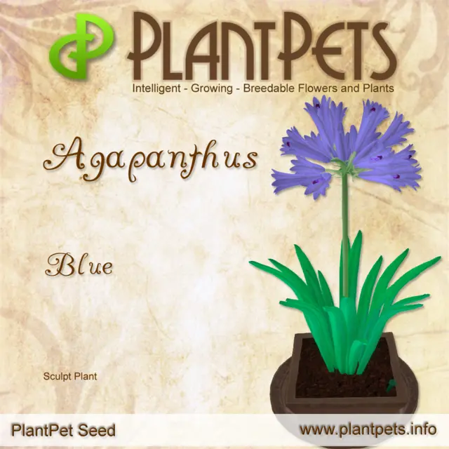 Poster for Agapanthus *Blue*