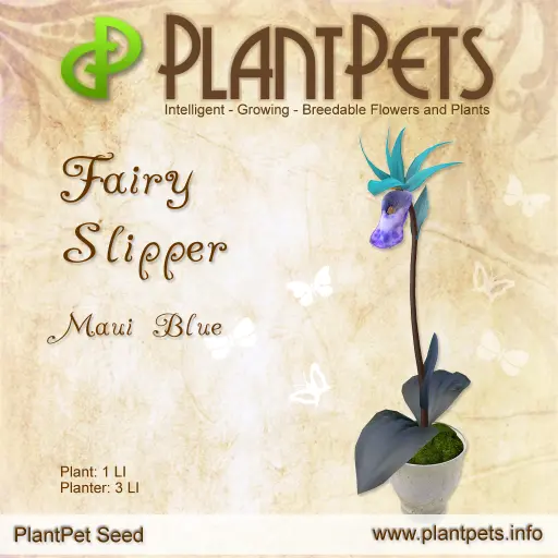 Poster for Fairy Slipper *Maui Blue*