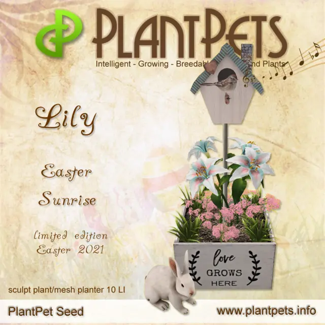 Poster for Lily *Easter Sunrise*