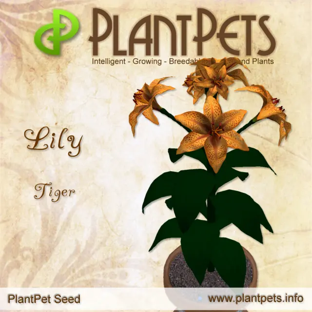 Poster for Lily *Tiger*