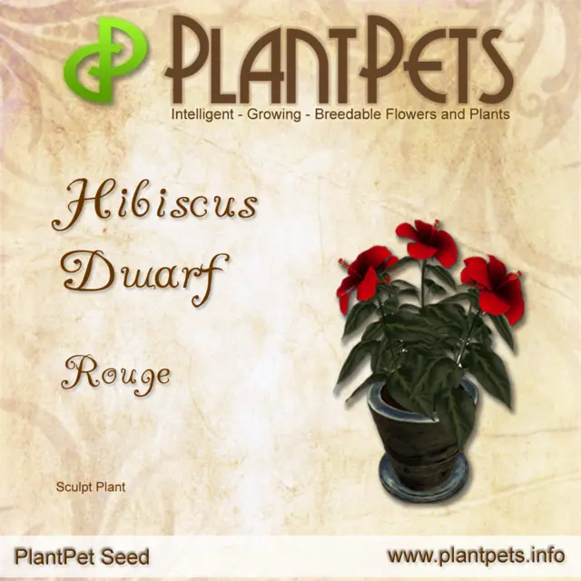 Poster for Hibiscus Dwarf *Rouge*