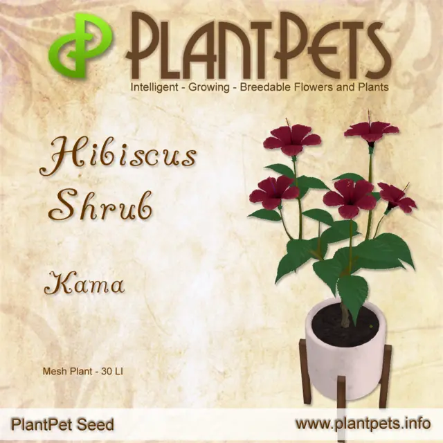 Poster for Hibiscus Shrub *Kama*
