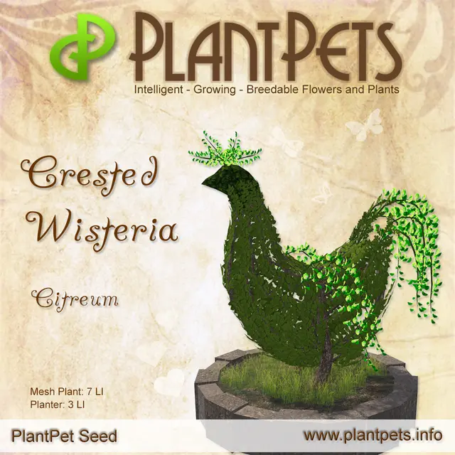 Poster for Crested Wisteria *Citreum*
