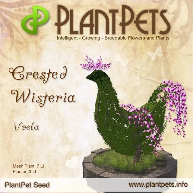 Poster for Crested Wisteria *Voela*