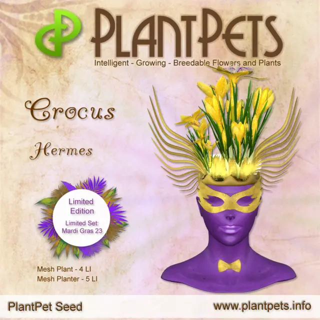 Poster for Crocus *Hermes*