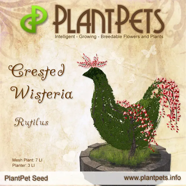 Poster for Crested Wisteria *Rutilus*
