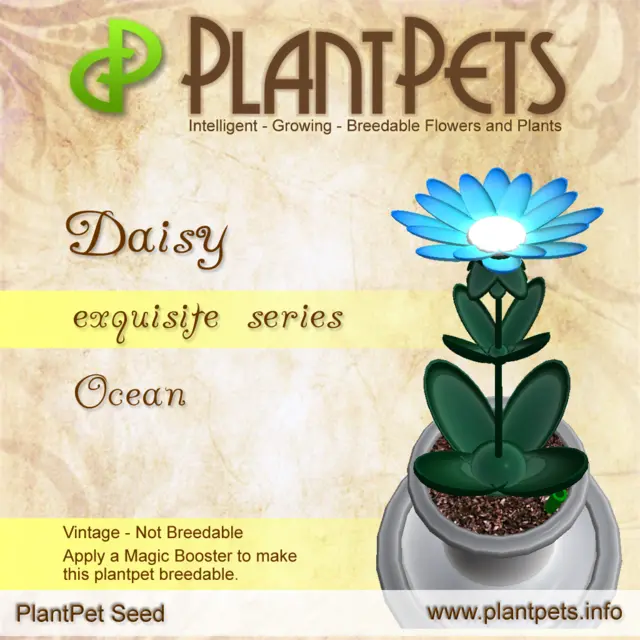 Poster for Daisy *Ocean*