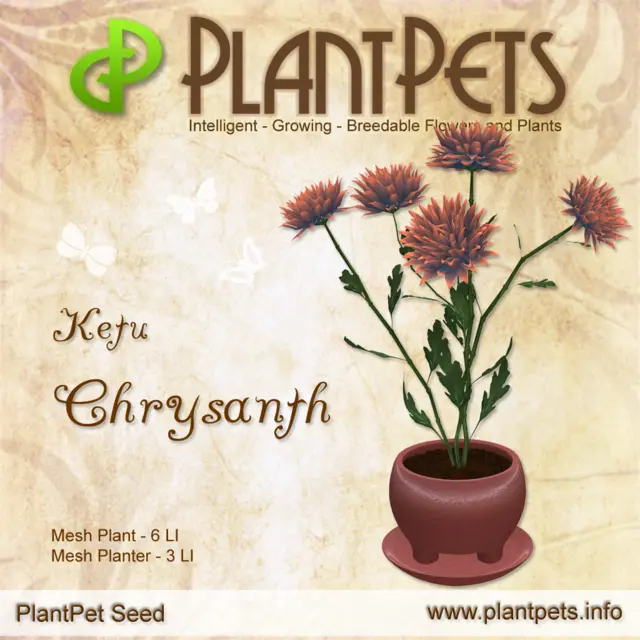 Poster for Chrysanth *Ketu*
