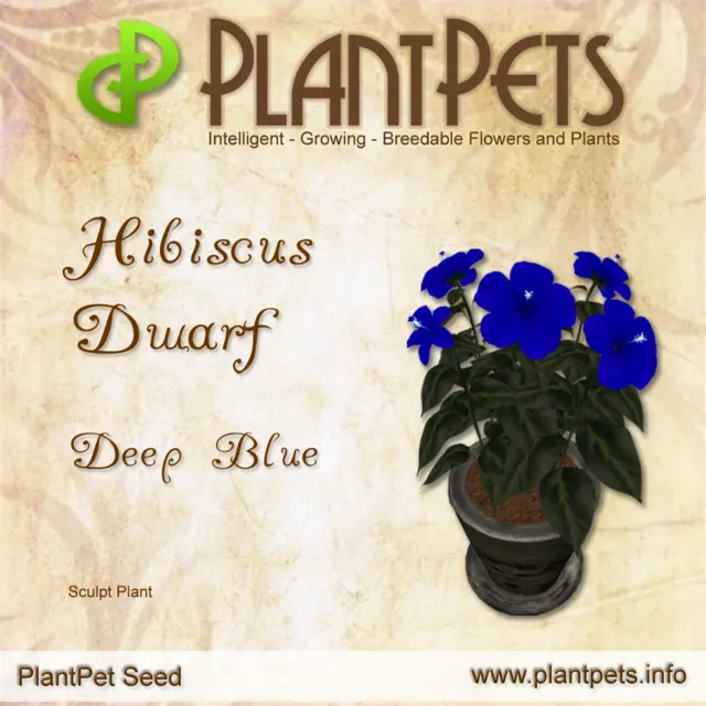 Poster for Hibiscus Dwarf *Deep Blue*
