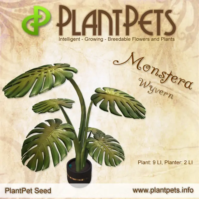 Poster for Monstera *Wyvern*