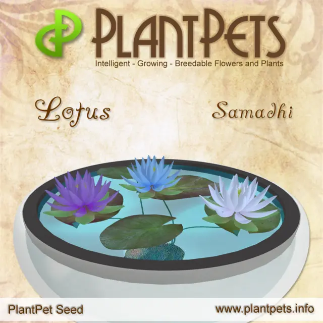 Poster for Lotus *Samadhi*