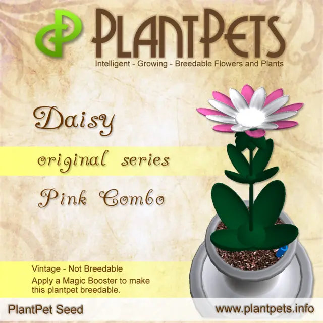 Poster for Daisy *Original Pink Combo*