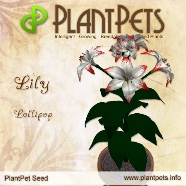 Poster for Lily *Lollipop*