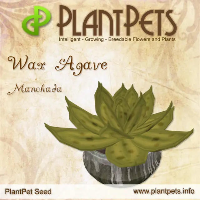 Poster for Wax Agave *Manchada*