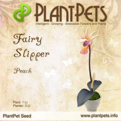 Poster for Fairy Slipper *Peach*