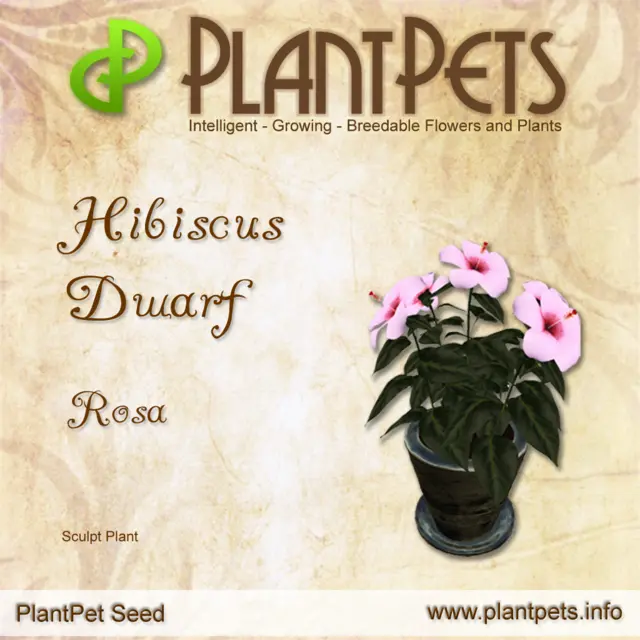 Poster for Hibiscus Dwarf *Rosa*