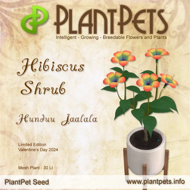 Poster for Hibiscus Shrub *Hunduu Jaalala*
