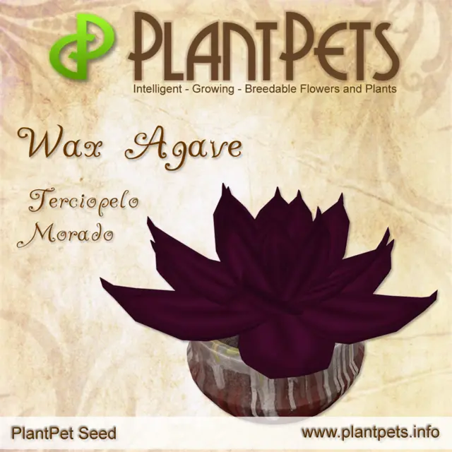Poster for Wax Agave *Terciopelo Morado*