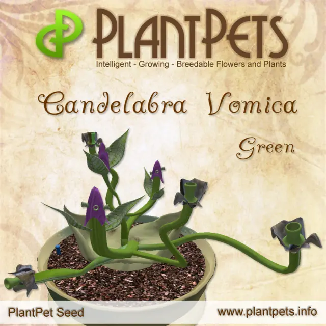 Poster for Candelabra Vomica *Green*
