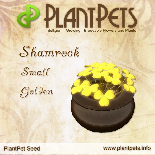 Poster for Shamrock *Small Golden*