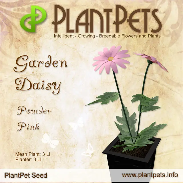 Poster for Garden Daisy *Powder Pink*