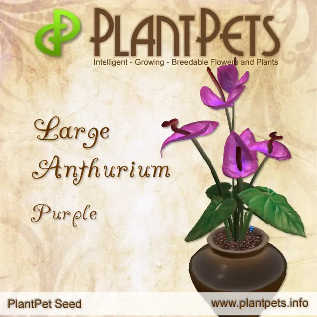 Poster for Large Anthurium *Purple*
