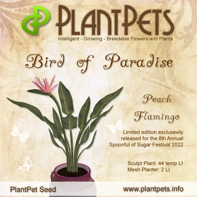 Poster for Bird of Paradise *Peach Flamingo*