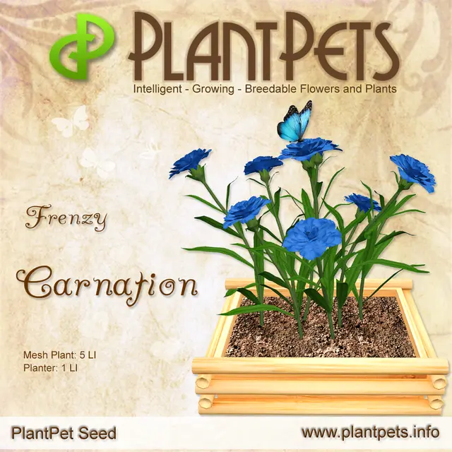 Poster for Carnation *Frenzy*