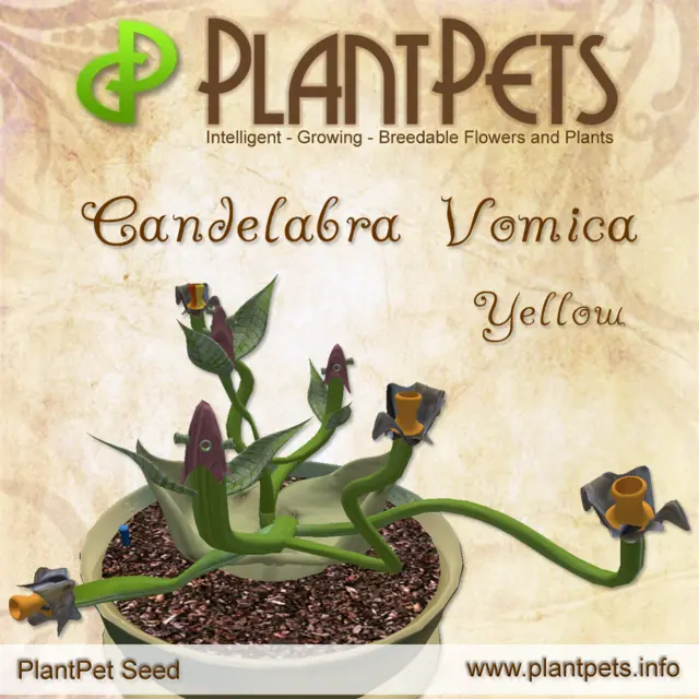 Poster for Candelabra Vomica *Yellow*